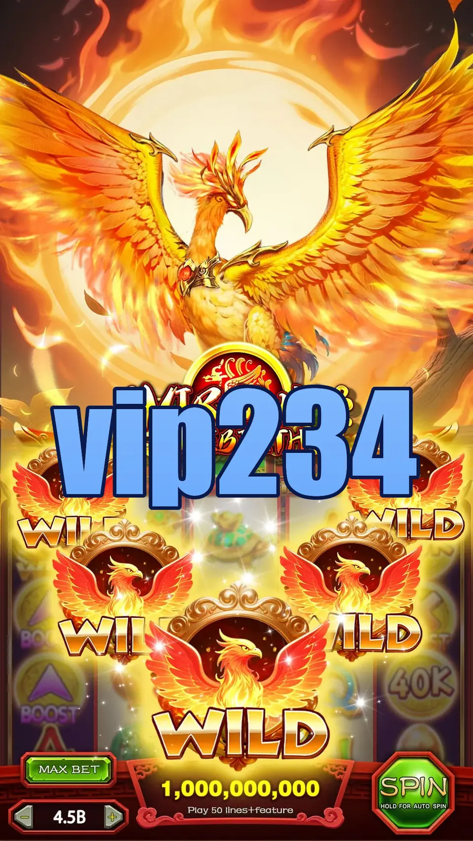 vip234 Login